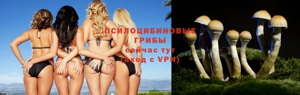альфа пвп Нягань