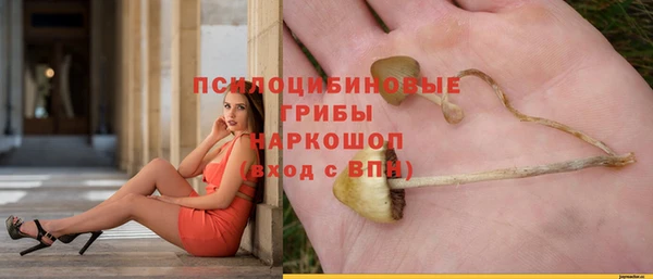 альфа пвп Няндома