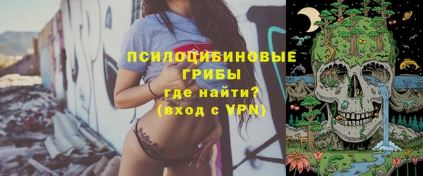 альфа пвп Няндома
