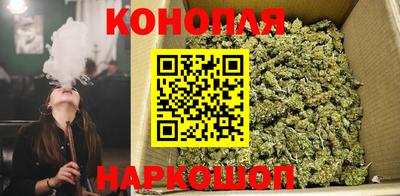 дживик Жуковский