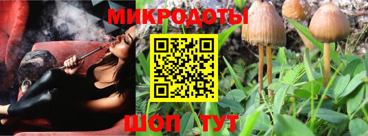 Галлюциногенные грибы Cubensis Костомукша