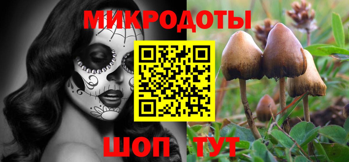 Галлюциногенные грибы прущие грибы  Вход с VPN  Псилоцибиновые грибы Psilocybine cubensis  где купить наркоту  Костомукша 