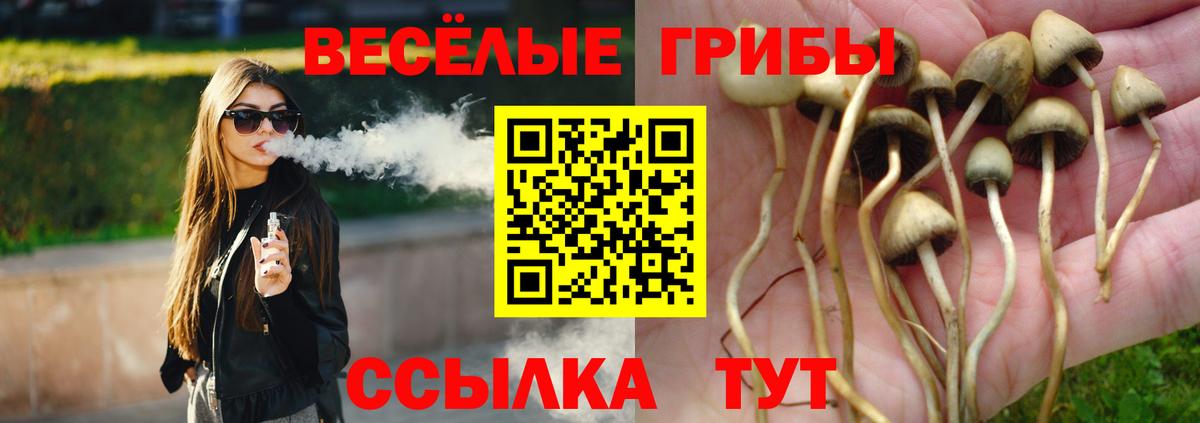 Псилоцибиновые грибы прущие грибы Костомукша